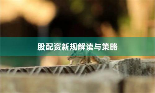 股配资新规解读与策略
