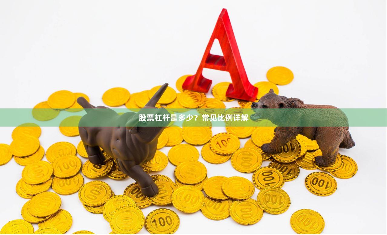 股票杠杆是多少？常见比例详解