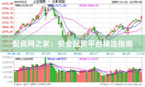 配资网之家：安全配资平台精选指南