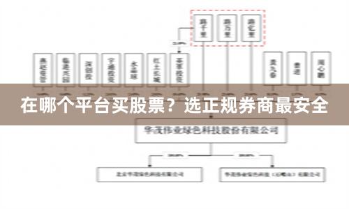 在哪个平台买股票？选正规券商最安全