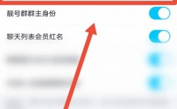 qq怎么展示王者段位？(qq怎么显示王者荣耀段位要会员吗?)