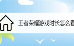 王者荣耀怎么查看游戏？(王者荣耀如何查询游戏时间玩了多久)