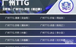 广州ttg是哪个公司？(王者荣耀广东职业战队名字)