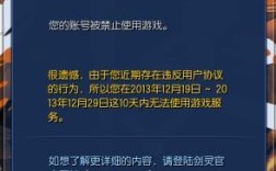 剑灵加入队伍显示目标错误？剑灵1000错误