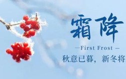 对于冷天气的人发来问候语天冷添衣应该怎么回复？(暖暖霜降套装)