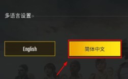 pubg游戏里队标上显示名字怎么关闭？裸露的单机游戏