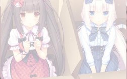 nekopara怎么steam添加补丁？(steam nekopara皮肤)