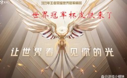 2022王者荣耀世界冠军杯为什么没有皮肤？(没有皮肤)