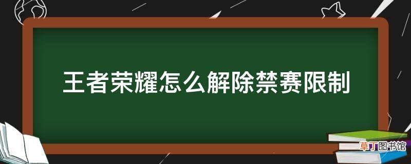 王者8小时禁赛怎么解除？(王者荣耀时间限制8小时怎么解除)-图1