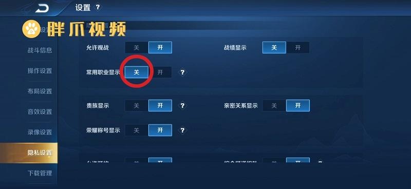 王者荣耀怎么开启英雄展示设置？(王者荣耀如何显示英雄排名标志)-图3