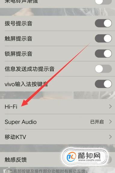 vivo手机如何设置音量皮肤？(音效的皮肤下载)-图2