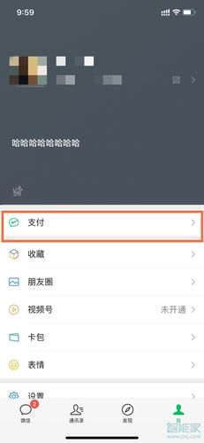 苹果手机怎么用微信支付买皮肤？(怎样在微信买皮肤)-图3