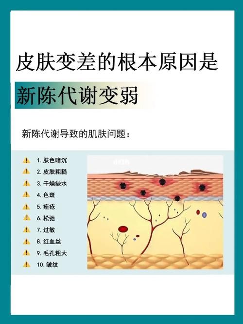 皮肤是怎么再生的？(怎么长新皮肤啊)-图1