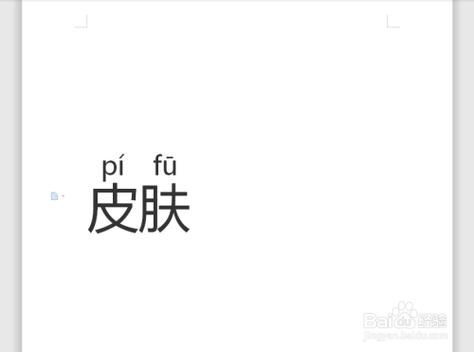 皮肤几声？(金馆长 拼音皮肤)-图1