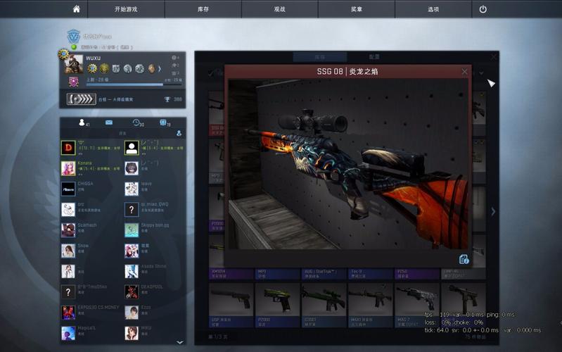 csgo只显示贴纸不显示皮肤？(csgo破解版皮肤不显示)-图1