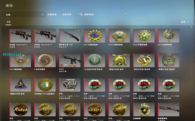 csgo只显示贴纸不显示皮肤？(csgo破解版皮肤不显示)-图2