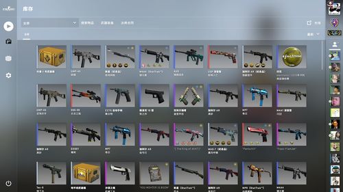 csgo最贵饰品？(csgo 最贵皮肤)-图3