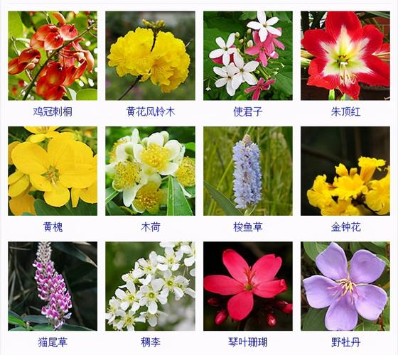 急求！农家谚语？千花套装属性-图2