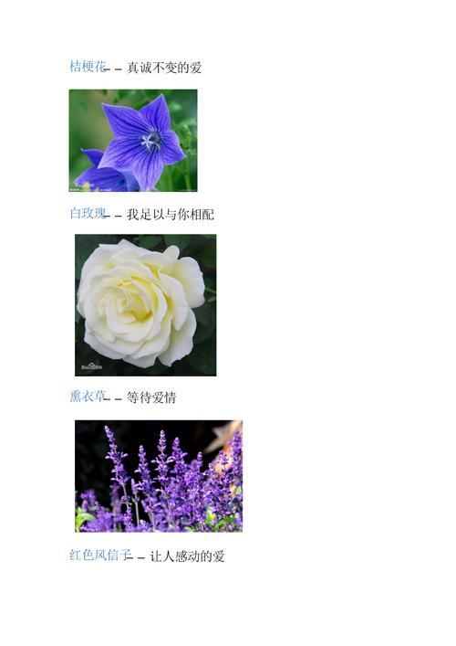 急求！农家谚语？千花套装属性-图3