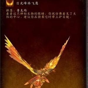 日光峰林飞鹰怎么获得？魔兽世界阿卡兰峰林-图2