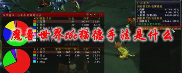 魔兽世界正式服猫德输出手法？魔兽世界6.0 猫德-图1