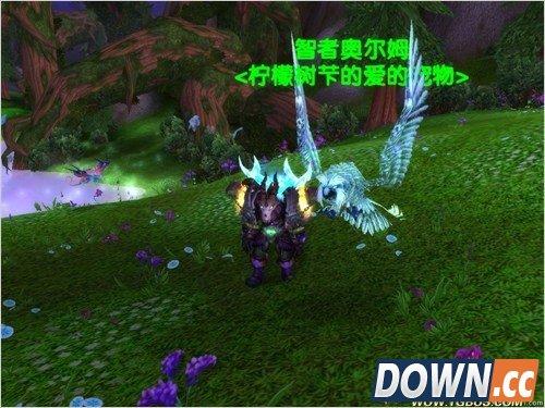 WOW猎人宠物名字重命名了一次还能重命名吗？魔兽世界猎人宠物改名-图3